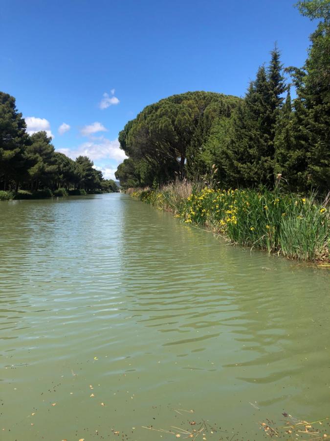 Villa Pintourina Sallèles-dʼAude Zewnętrze zdjęcie